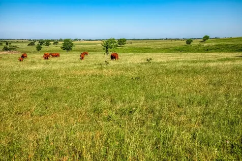 5005 Fuchs Road - Lot 6 Burton TX 77835