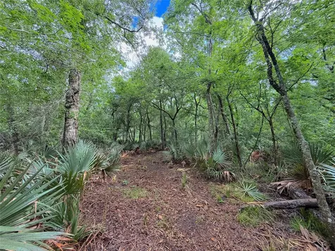 Tract 3 County Road 332 Sweeny TX 77480
