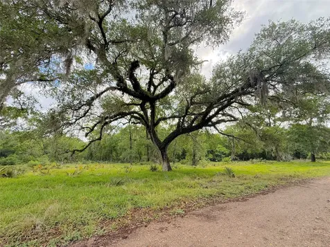 Tract 3 County Road 332 Sweeny TX 77480