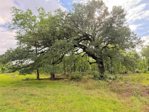 Tract 3 County Road 332 Sweeny TX 77480