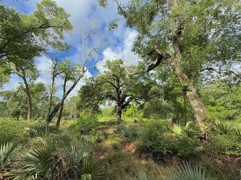 Tract 3 County Road 332 Sweeny TX 77480