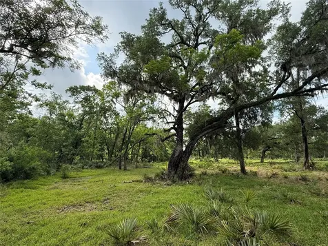 Tract 3 County Road 332 Sweeny TX 77480