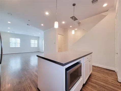 12 Hermann Park Court Houston TX 77021
