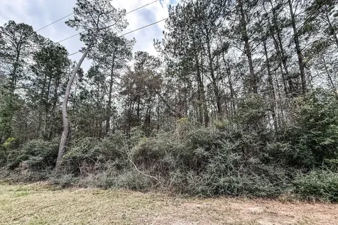 Lot 12 Chisholm Trail Huntsville TX 77340