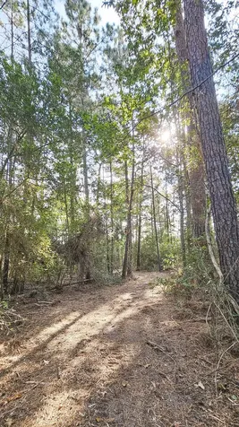 Lot 11 Gregory Lane New Waverly TX 77358
