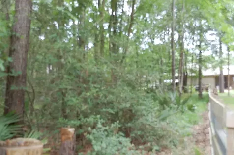 25 Firewood Road Huntsville TX 77340