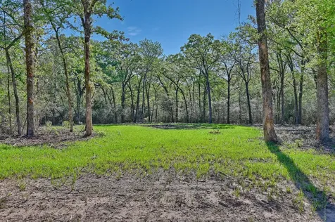 00 Lcr 800 Groesbeck TX 76642