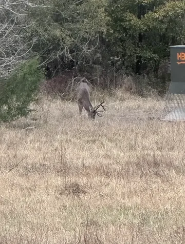 00 Lcr 800 Groesbeck TX 76642