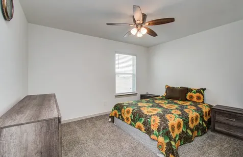3706 Jayci Lake Trace Missouri City TX 77459