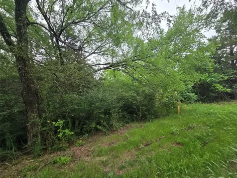 Lots 632 & 633 Shoshone Drive Gordonville TX 76245