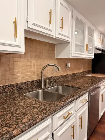 2100 Tanglewilde Street 203 Houston TX 77063