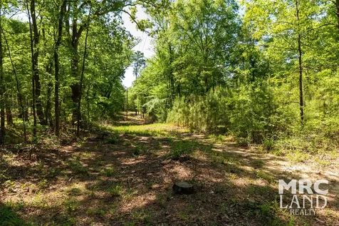 00 Linn Flat Road Garrison TX 75946