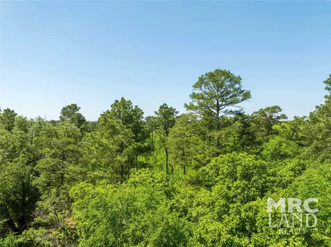 00 Linn Flat Road Garrison TX 75946