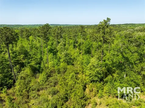 00 Linn Flat Road Garrison TX 75946