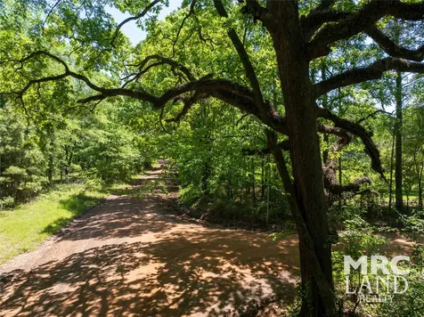 00 Linn Flat Road Garrison TX 75946