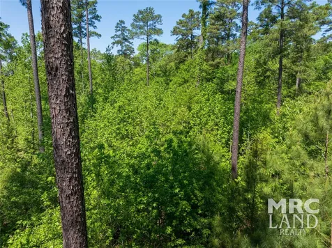00 Linn Flat Road Garrison TX 75946