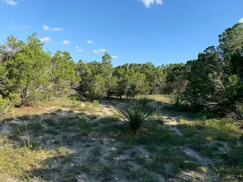 608 Gallagher Drive Canyon Lake TX 78133