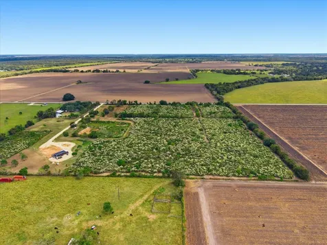 Lot 11 Cow Creek Road Damon TX 77430