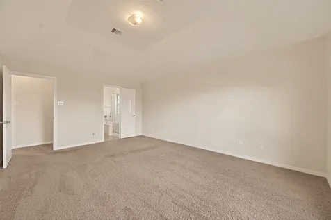 29 Palmero Way Manvel TX 77578