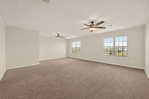 29 Palmero Way Manvel TX 77578