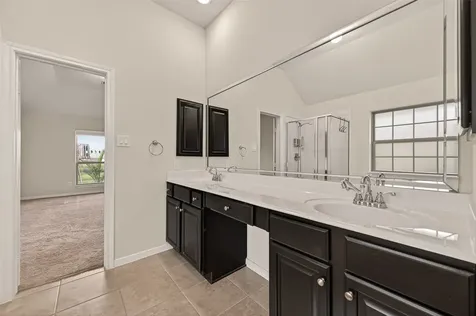 29 Palmero Way Manvel TX 77578