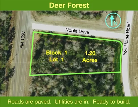 109 Noble Drive New Waverly TX 77358