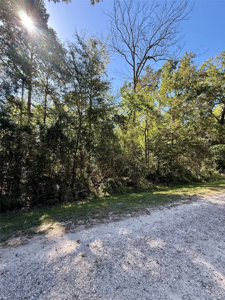 Lot 5 Golden Leaf Livingston TX 77351