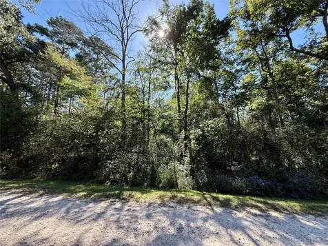Lot 5 Golden Leaf Livingston TX 77351