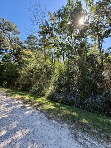 Lot 5 Golden Leaf Livingston TX 77351