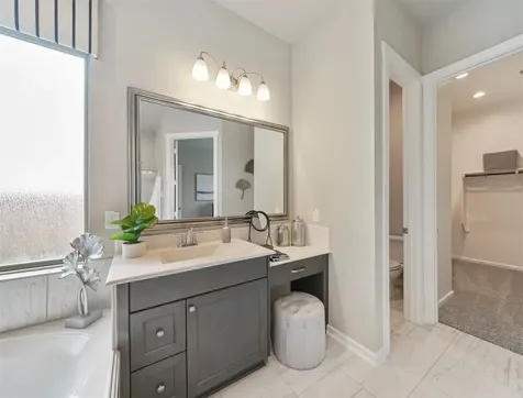 1127 Mills Cove Drive Missouri City TX 77459