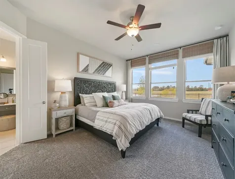 1127 Mills Cove Drive Missouri City TX 77459