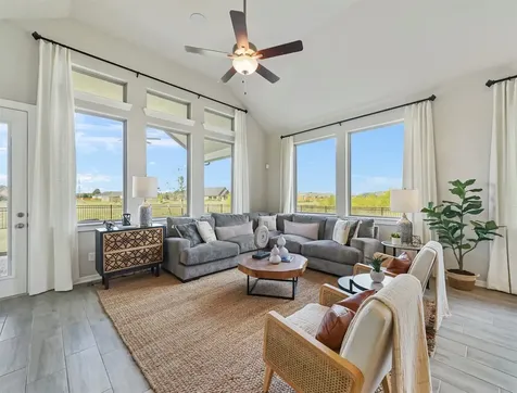 1127 Mills Cove Drive Missouri City TX 77459