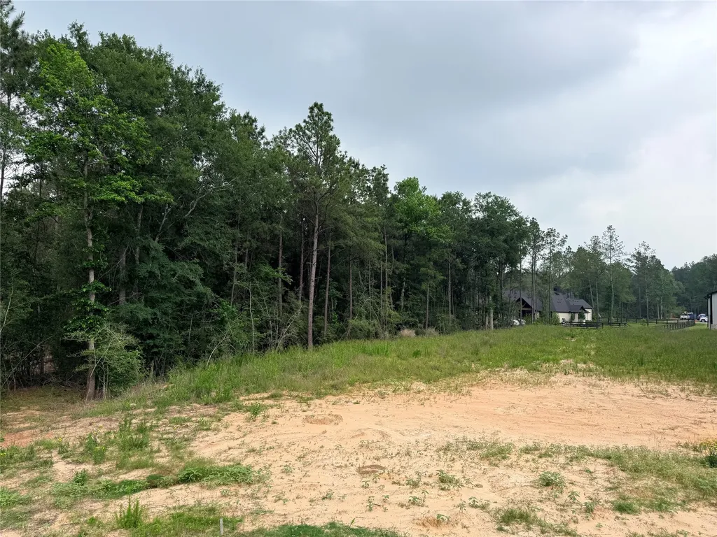 4601 High Meadow West Court Montgomery TX 77316