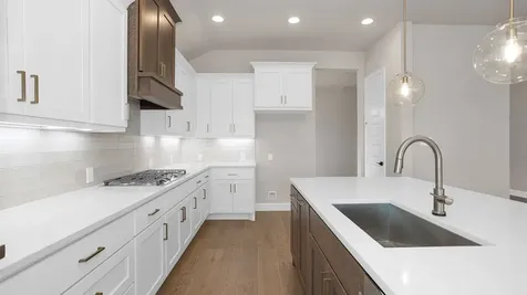 2031 Orchard Rose Drive Missouri City TX 77459