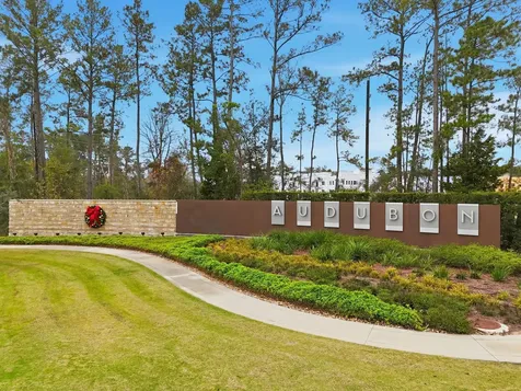 15110 Bank Swallow Place Magnolia TX 77354