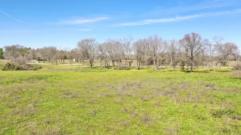 14 Ac Halliday Lane Madisonville TX 77864