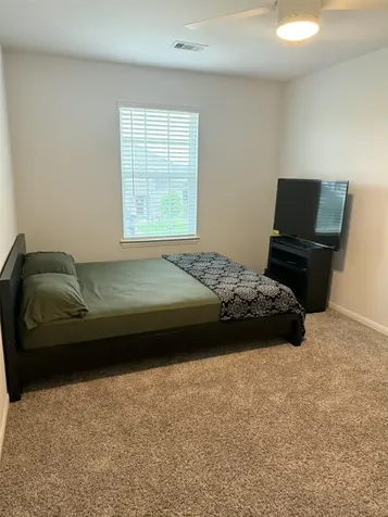 14314 Alberta Spruce Lane Crosby TX 77532
