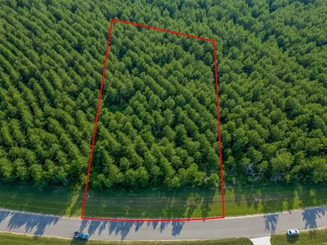 15743 Wooded Trail Way Willis TX 77378