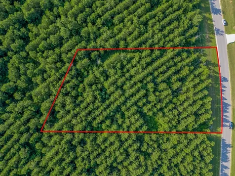 15743 Wooded Trail Way Willis TX 77378