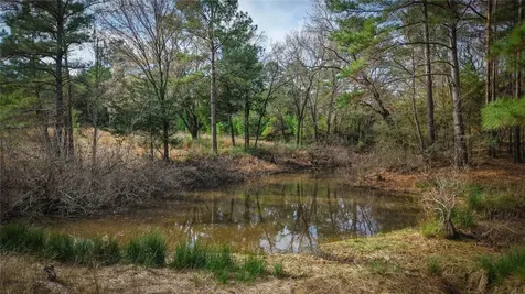 (39.15 Acres) 12868 County Road 122 Centerville TX 75833