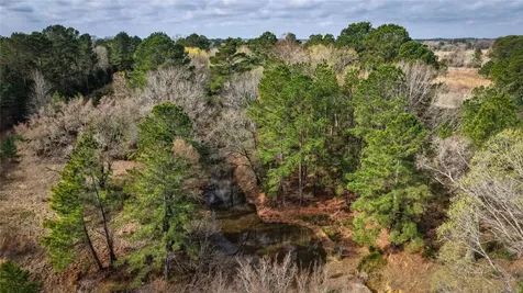 (39.15 Acres) 12868 County Road 122 Centerville TX 75833