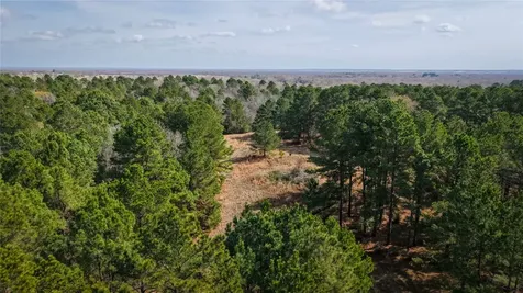 (39.15 Acres) 12868 County Road 122 Centerville TX 75833
