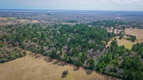 (39.15 Acres) 12868 County Road 122 Centerville TX 75833