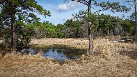 (39.15 Acres) 12868 County Road 122 Centerville TX 75833