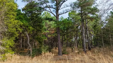 (39.15 Acres) 12868 County Road 122 Centerville TX 75833
