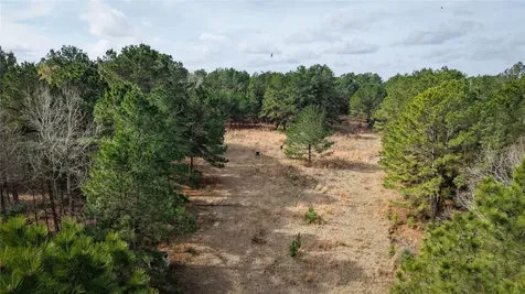 (39.15 Acres) 12868 County Road 122 Centerville TX 75833