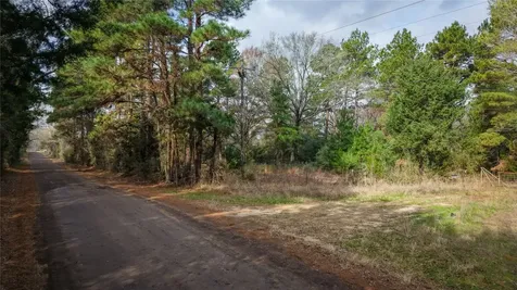 (39.15 Acres) 12868 County Road 122 Centerville TX 75833
