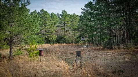 (39.15 Acres) 12868 County Road 122 Centerville TX 75833