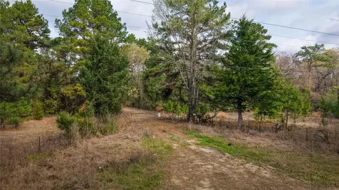 (39.15 Acres) 12868 County Road 122 Centerville TX 75833