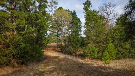 (39.15 Acres) 12868 County Road 122 Centerville TX 75833